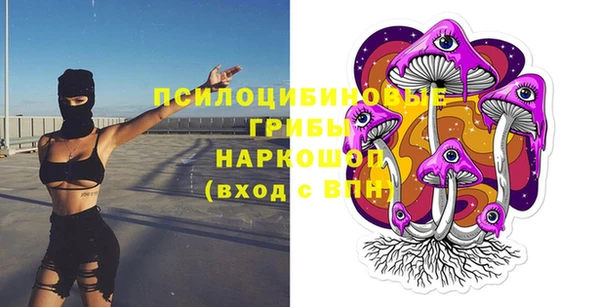 a pvp Корсаков