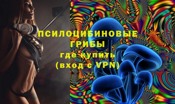 a pvp Корсаков