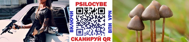 Купить  Волхов  Псилоцибиновые грибы ЛСД 